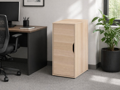 Alexis Tek Kapaklı Dolap